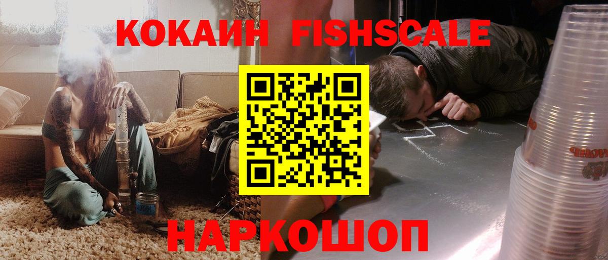 COCAIN Fish Scale  Вход с VPN  COCAIN  Ставрополь 