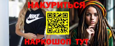 крисы Можга