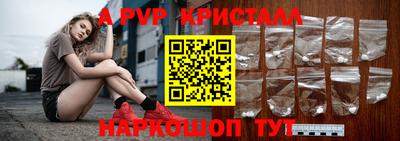 крисы Можга