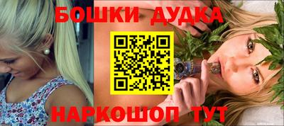 крисы Можга
