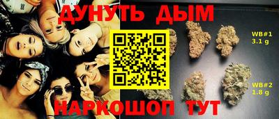 гидропоника Моздок