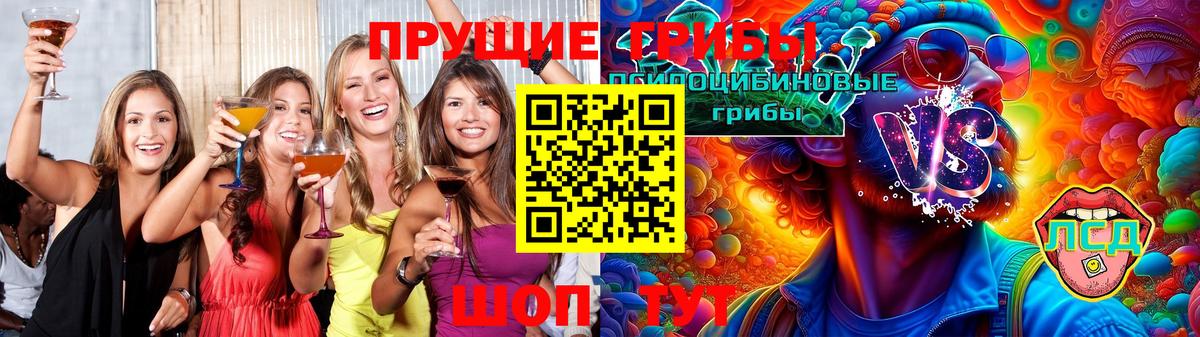 Псилоцибиновые грибы Psilocybe Ставрополь