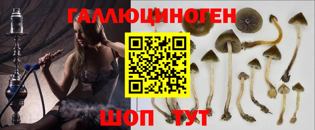 Псилоцибиновые грибы MAGIC MUSHROOMS  где купить наркотик  Ставрополь  Вход с VPN 